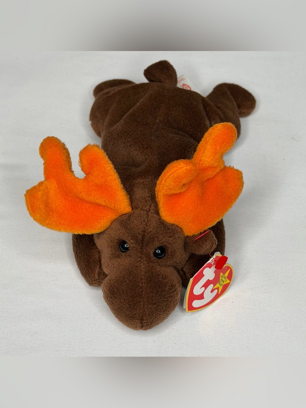 Vintage Ty Beanie Babies Chocolate the Moose Plush 8 - 9 inches Vintage 1993